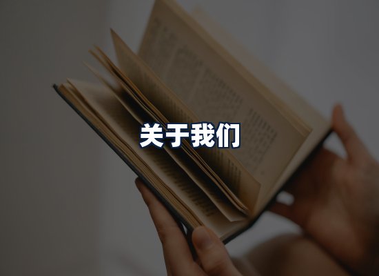 关于我们